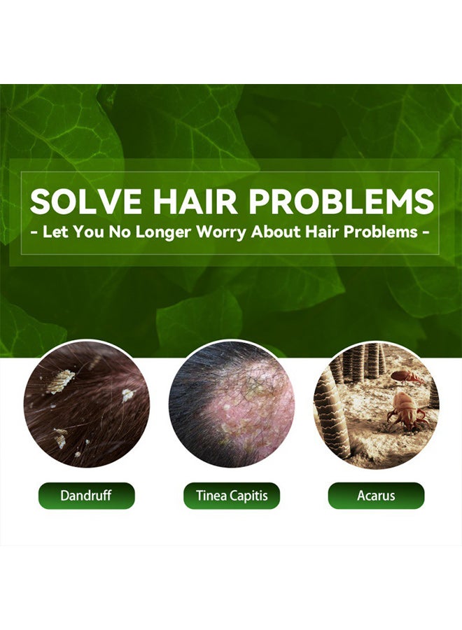 EELHOE Tinea Capitis Antipruritic Hair Shampoo, Anti-Dandruff Shampoo, Shampoo For Scalp Prone To Folliculitis, Dermatitis, Dandruff, Mites, Itchy And Flaky Scalp, Treats Dandruff And Seborrheic Dermatitis - Image 4