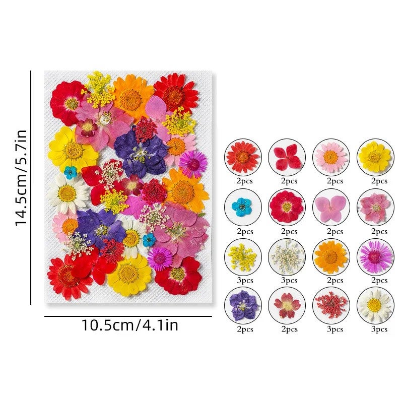 Bluejw Art Floral Decors Nail Pendant Crafts with Real Dried Pressed Flowers – Natural Leaves & Petals for Resin Nail Art, Dried Plants for DIY Jewelry and Decor - Image 1