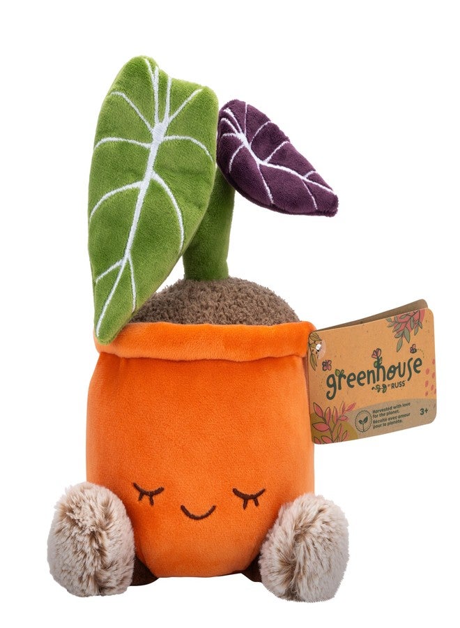 Russ Greenhouse 12-Inch Black Velvet Alocasia Plant Plush - Ultrasoft Official Jazwares Plush - Ages 3+ - Image 1