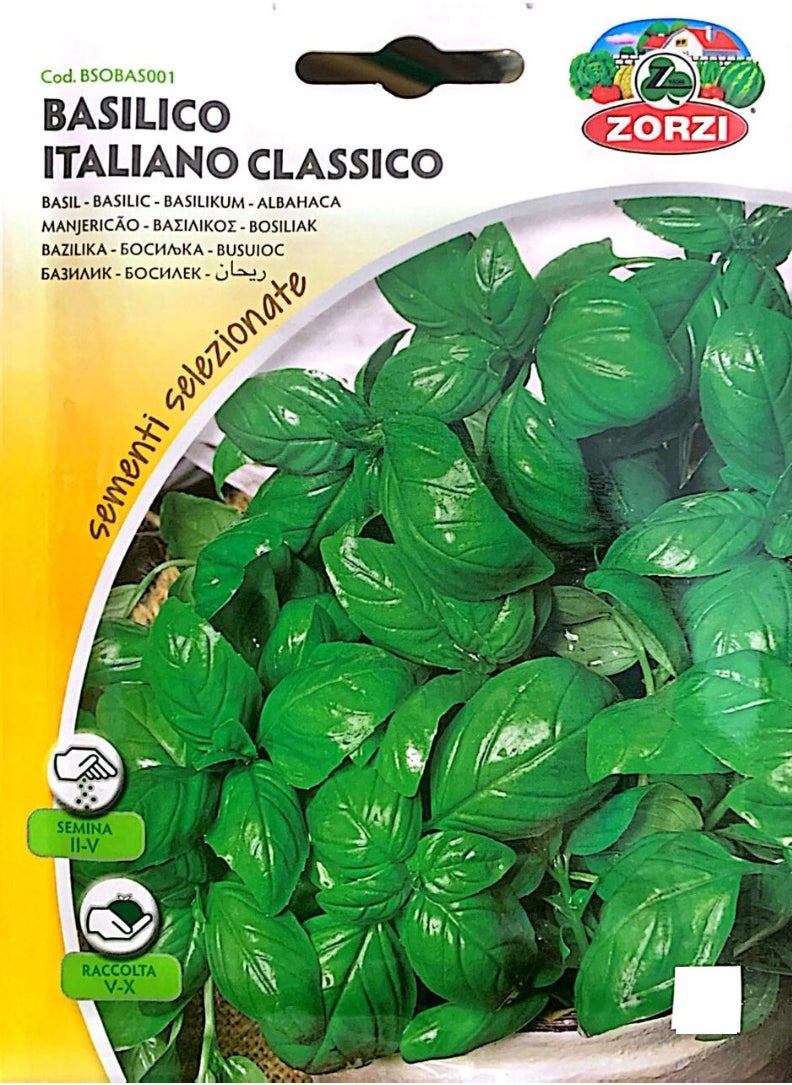 ZORZI - Italian Classic Basil Seeds - Image 1