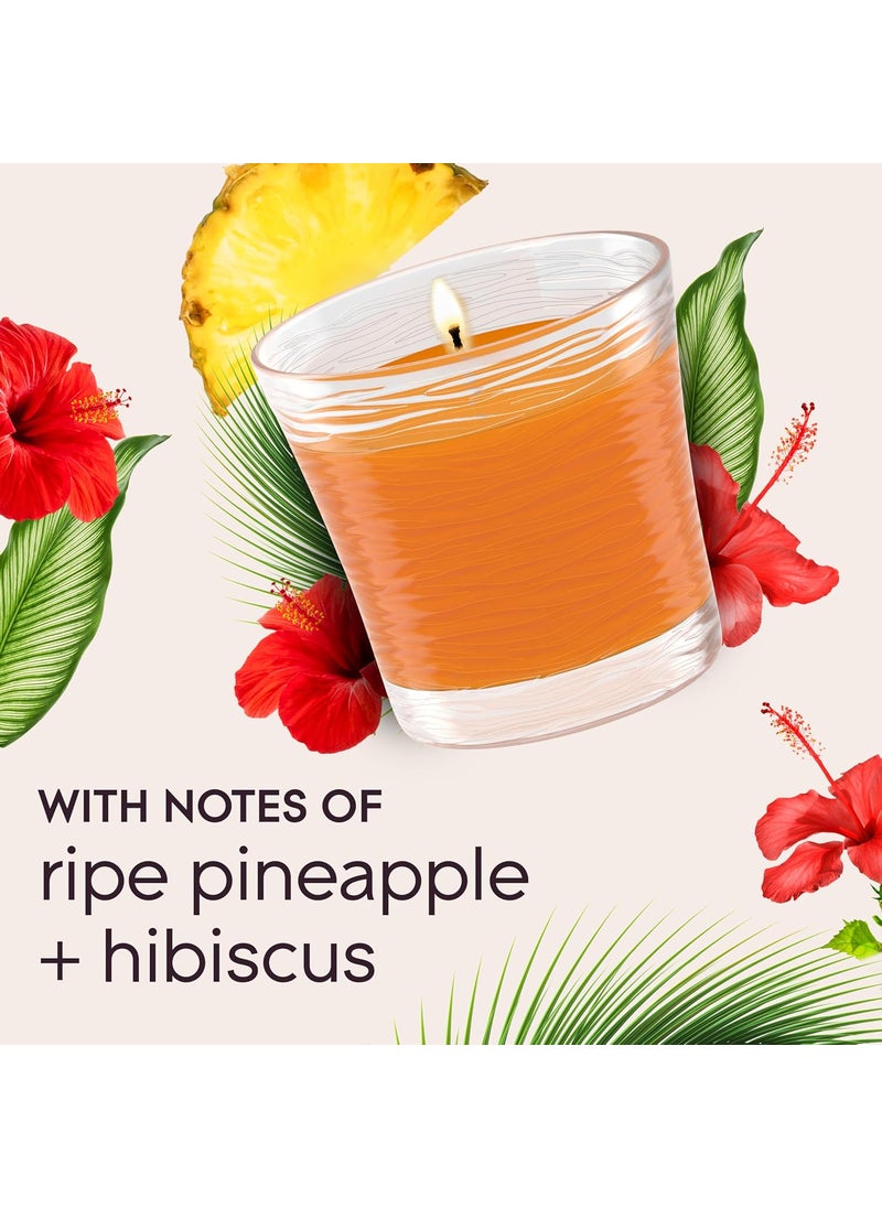 Glade Glade 1Wick Scented Candle Jar Hawaiian Breeze Air Freshener Infused with Essential Oils 408 Oz 2 Count  - Image 5