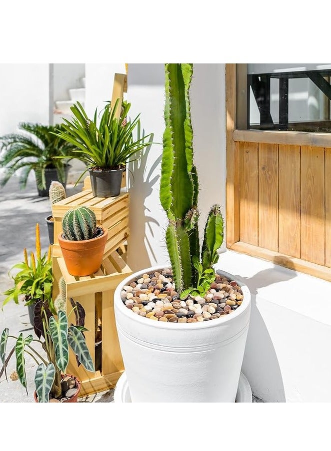 Home zone 5lbDecorative Rocks for Plants and Garden Landscaping Polished River Stone for Outdoor Decor 1-1 3/4 Inch(2.25KG) - Image 2