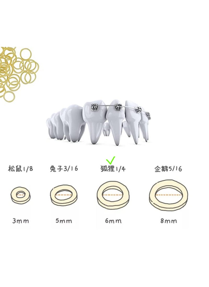 SYOSI - 500 Pcs Orthodontic Elastic Rubber Bands Dental Rubber Bands for Dentist Clinic Orthodontic Supplies - Image 1