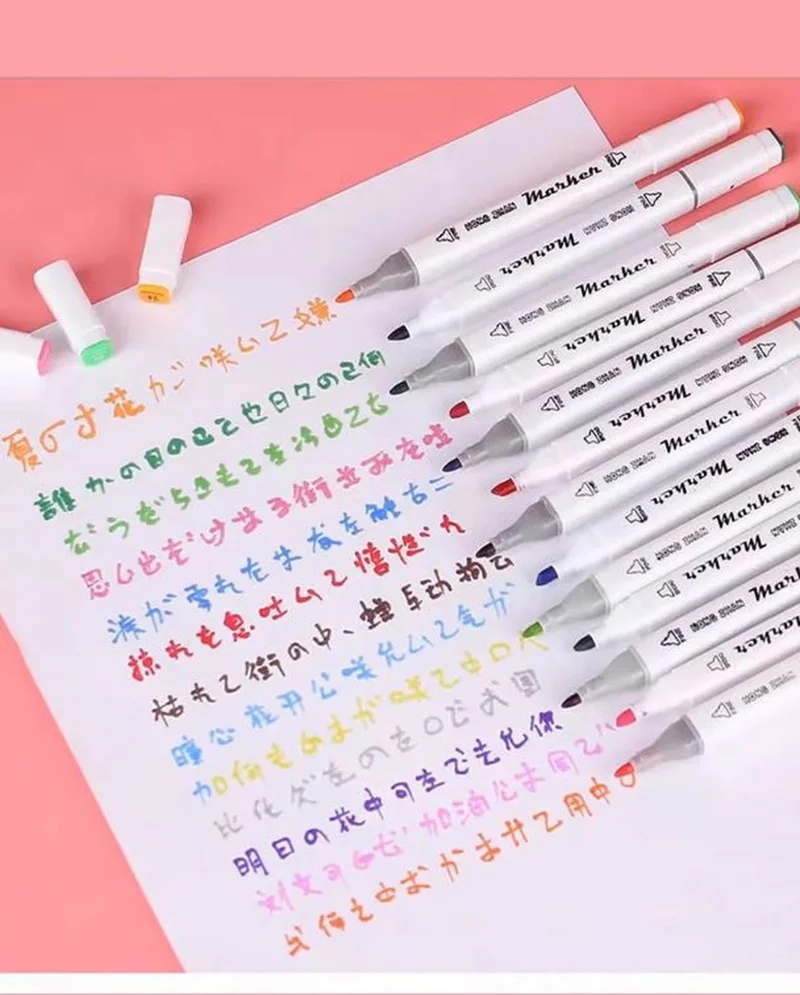 Hane216 12 Piece Double Sided Professional Marker Paint Pen Set Boxed, Felt Tip Pen Set