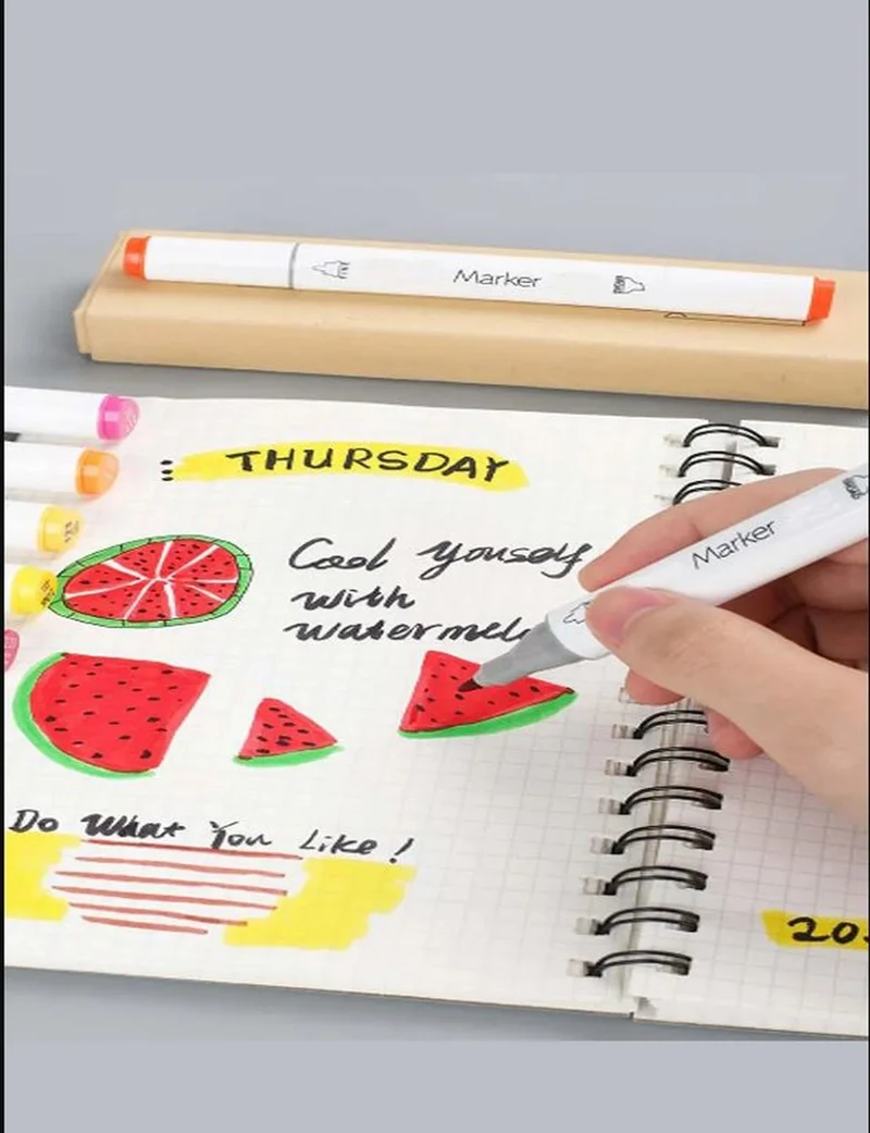 Hane216 12 Piece Double Sided Professional Marker Paint Pen Set Boxed, Felt Tip Pen Set