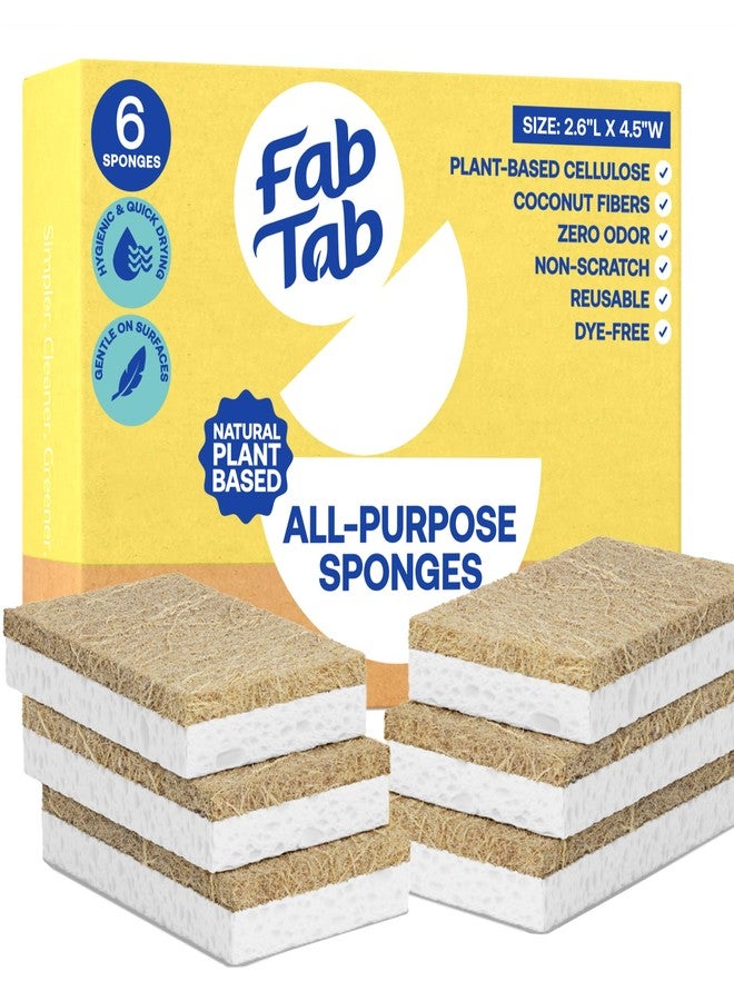 Fab Tab FabTab Coconut and Cellulose Sponges, Plant-Based, Non-Scratch Cleaning Sponges for Dishes, Sinks, Stoves, Countertops, Odorless Kitchen Sponge, Reusable, Dishwasher Safe 6-Count - Image 1