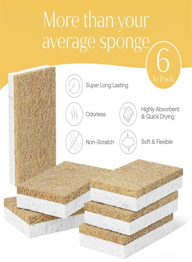 Fab Tab FabTab Coconut and Cellulose Sponges, Plant-Based, Non-Scratch Cleaning Sponges for Dishes, Sinks, Stoves, Countertops, Odorless Kitchen Sponge, Reusable, Dishwasher Safe 6-Count - Image 5