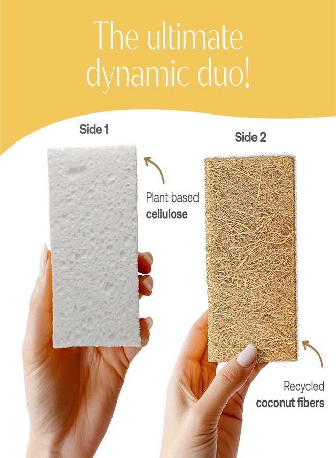 Fab Tab FabTab Coconut and Cellulose Sponges, Plant-Based, Non-Scratch Cleaning Sponges for Dishes, Sinks, Stoves, Countertops, Odorless Kitchen Sponge, Reusable, Dishwasher Safe 6-Count - Image 4