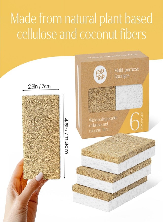 Fab Tab FabTab Coconut and Cellulose Sponges, Plant-Based, Non-Scratch Cleaning Sponges for Dishes, Sinks, Stoves, Countertops, Odorless Kitchen Sponge, Reusable, Dishwasher Safe 6-Count - Image 2