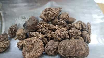 Easygrow High John Conqueror Root High John Incense 25 gm - Image 4