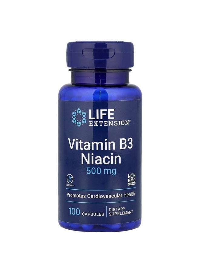 Life Extension Life Extension, Vitamin B3 Niacin, 500 mg, 100 Capsules  - Image 1