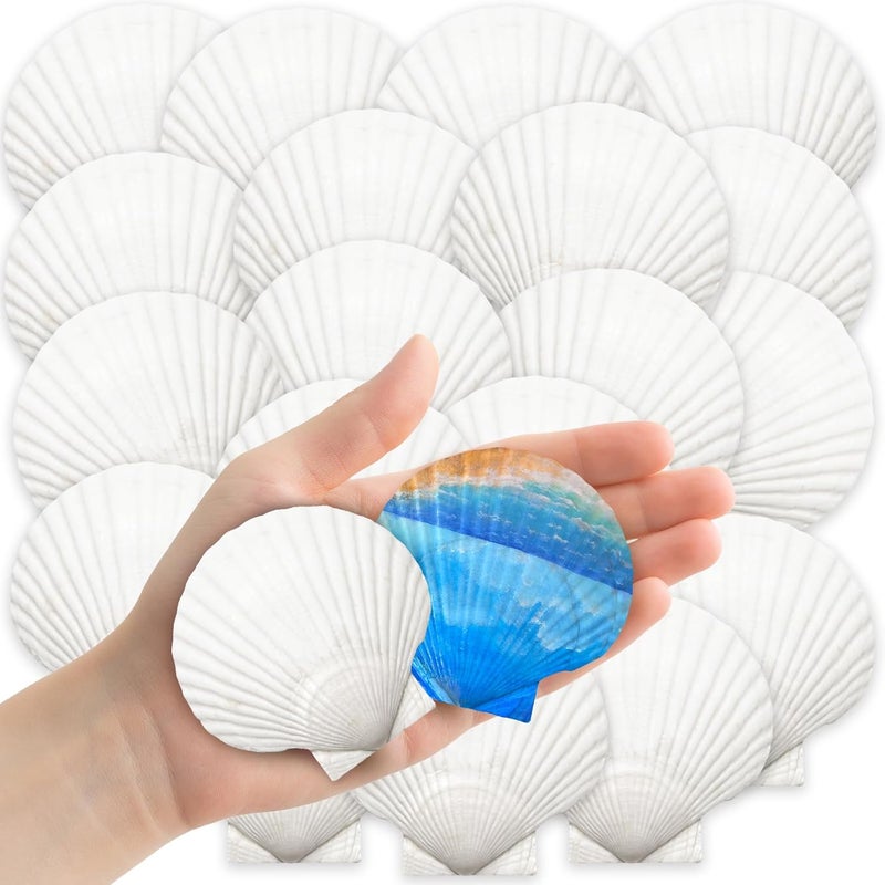YUJUN 32PCS Natural Scallop Shells,2''-3'' White Seashells Bulk for Crafts DIY Painting Baking and Ocean Summer Beach Wedding Home Decorations - Image 1