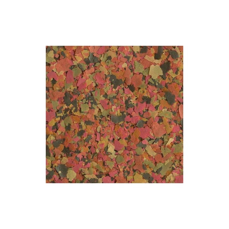 Tetra رقائق تيترا مين بلس الاستوائية، صيغة مياه أنظف وأكثر صفاء 7.06 أونصة (عبوة من 1) - Image 3