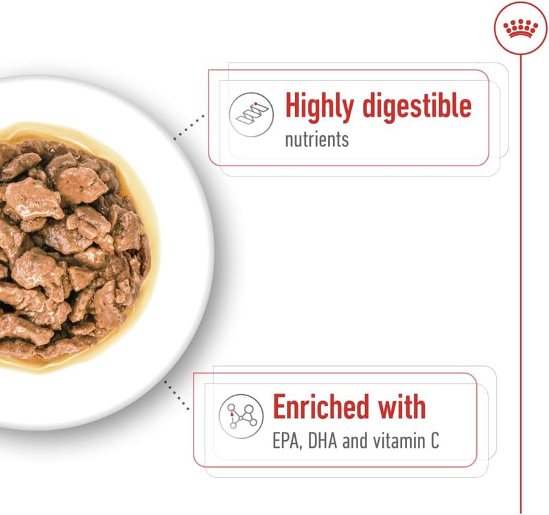 ROYAL CANIN طعام رويال كانين XS للكلاب البالغة رطب في أكياس 12 × 85 جرام - Image 5