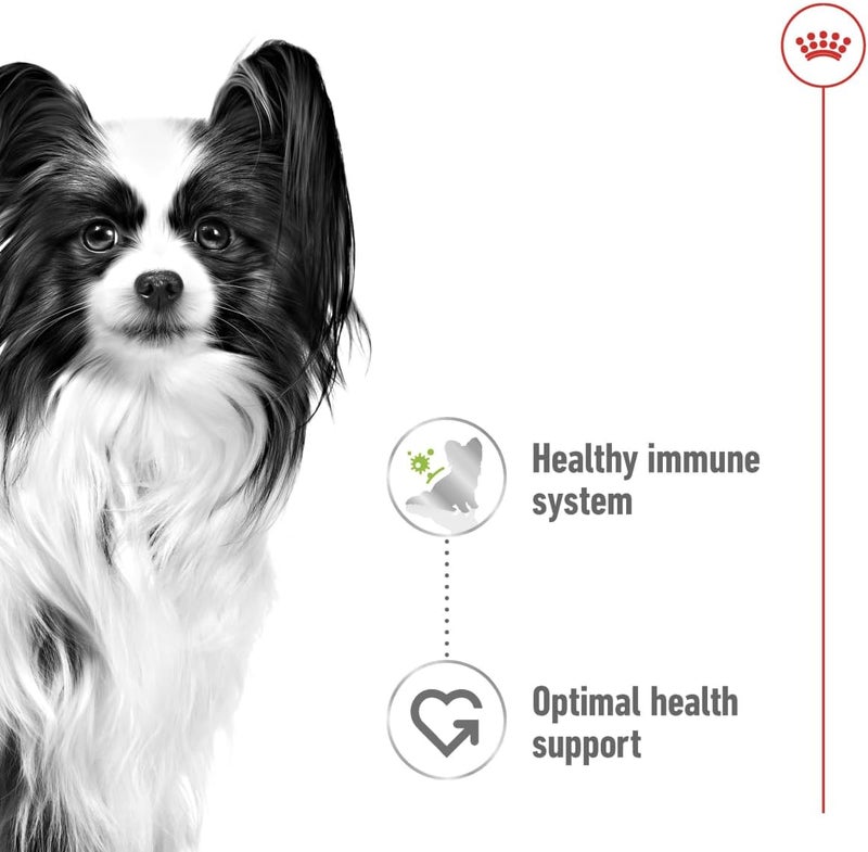 ROYAL CANIN طعام رويال كانين XS للكلاب البالغة رطب في أكياس 12 × 85 جرام - Image 4