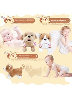Generic Le Jier Children's Electric Toy Dog Simulation Plush Teddy Calling Walking Dog Machine Dog Girl-Color:Q064 Border Pastoral Dog  - Image 2