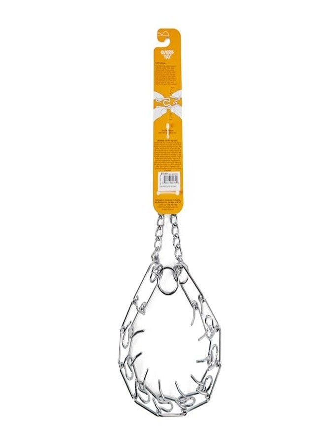 EveryYay Classic Training Dog Collar Medium - Image 3