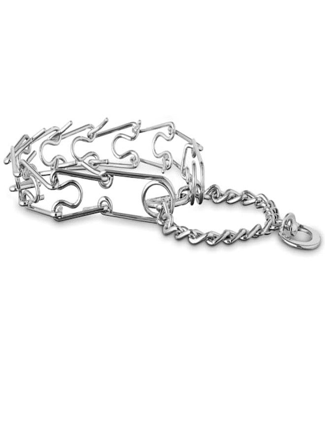 EveryYay Classic Training Dog Collar Medium - Image 2