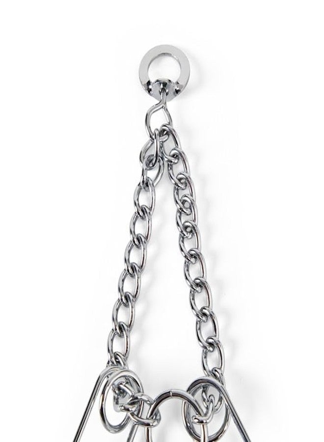 EveryYay Classic Training Dog Collar Medium - Image 5