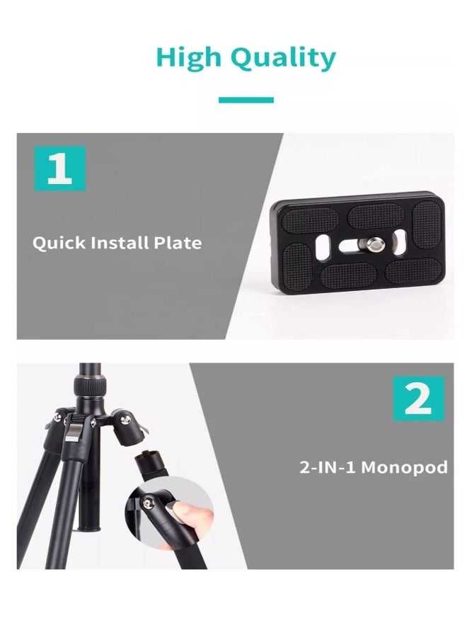 DUSALA 2-IN-1 Monopod tripod 360° Rotation Ball Head with Stable Hook 2-IN-1 Monopod Professional Tripod Stand for Tablet Mobile DSLR camera Action camera(Type 325-NB30)  - Image 3