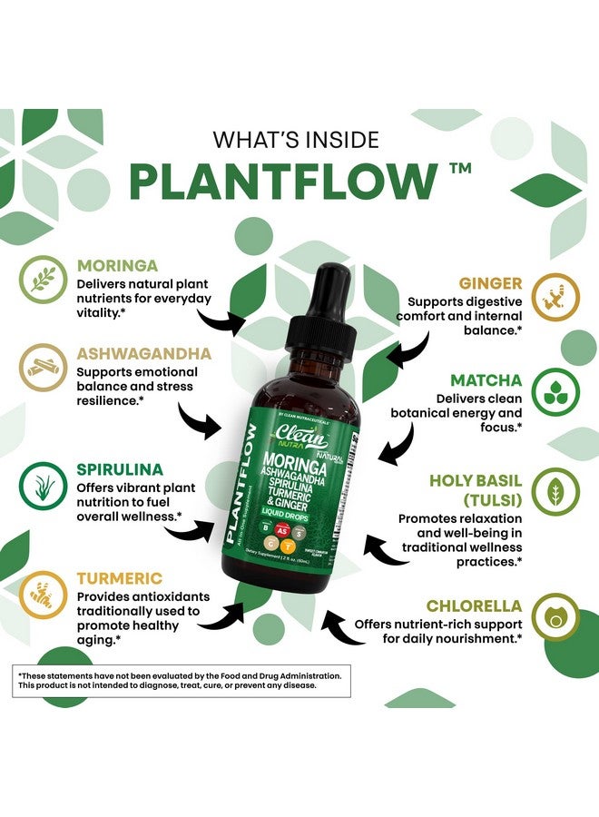 Clean Nutraceuticals قطرات سائلة من كلين نوترا بلانت فلو 60 مل - مورنغا، أشواغاندا، سبيرولينا، كركم وزنجبيل - مكمل عشبي طبيعي - نباتي، خالي من الكحول، غير معدل وراثيًا، نكهة القرفة الحلوة - Image 3