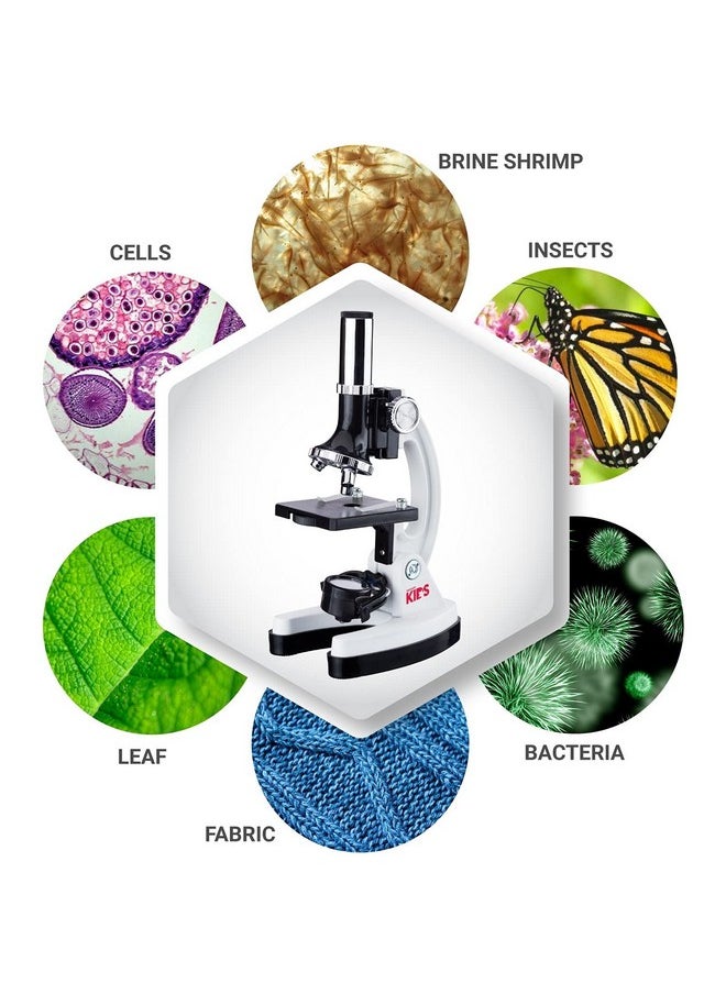 AmScope 120X-1200X 52-Pcs Beginner Microscope Stem Kit With Metal Body Microscope, Plastic Slides, Led Light And Carrying Box (M30-Abs-Kt2-W),White  - Image 4