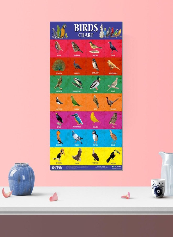 ESCAPER Birds Educational Charts for Kids, Charts for Kids Learning (11.5 x 17.5 inches), Kids Study Material, Kids Learning Books, Educational Posters - Image 5