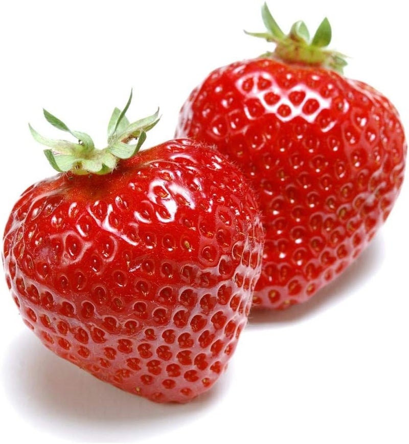 lavera معجون أسنان لافيرا للأطفال خالي من الفلورايد وخالي من الملونات مع كالسيوم آذريون نباتي بيولوجي طبيعي مبتكر مستحضرات تجميل عضوية للعناية بالأسنان 75 مل - Image 2