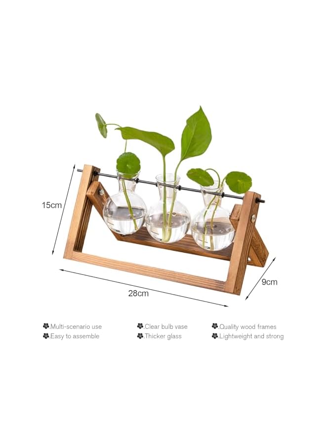 The Bros 3 Bulb Vase Propagation Station for Plants, Terrarium for Hydroponic Plants, Plant Terrarium with Wooden Stand Decorate Office, Dining Table, Interior - Image 2