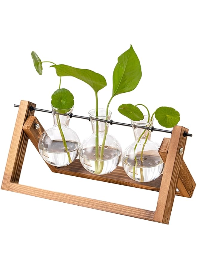 The Bros 3 Bulb Vase Propagation Station for Plants, Terrarium for Hydroponic Plants, Plant Terrarium with Wooden Stand Decorate Office, Dining Table, Interior - Image 1
