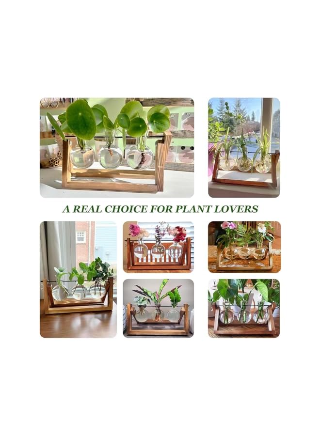 The Bros 3 Bulb Vase Propagation Station for Plants, Terrarium for Hydroponic Plants, Plant Terrarium with Wooden Stand Decorate Office, Dining Table, Interior - Image 5