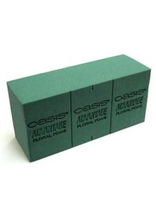 Gulf Flowers - Gulf Flowers Oasis 20 Pcs Floral Foam Blocks – High-Density Wet Foam for Fresh Flower Arrangements, Long-Lasting Hydration - Image 1