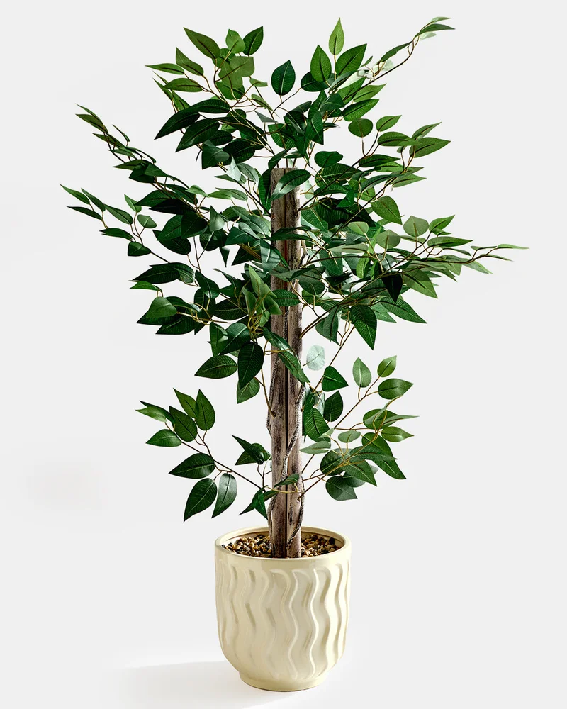 Redtag Artificial Ficus Tree in Ceramic Pot 124cm