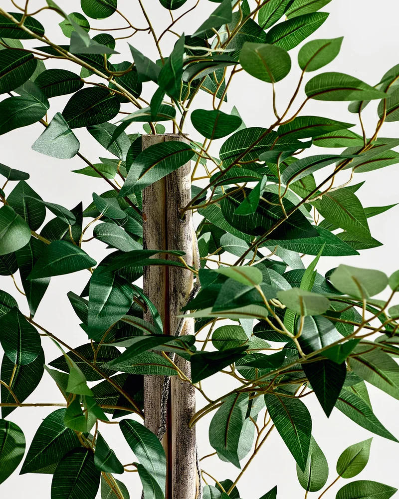 Redtag Artificial Ficus Tree in Ceramic Pot 124cm