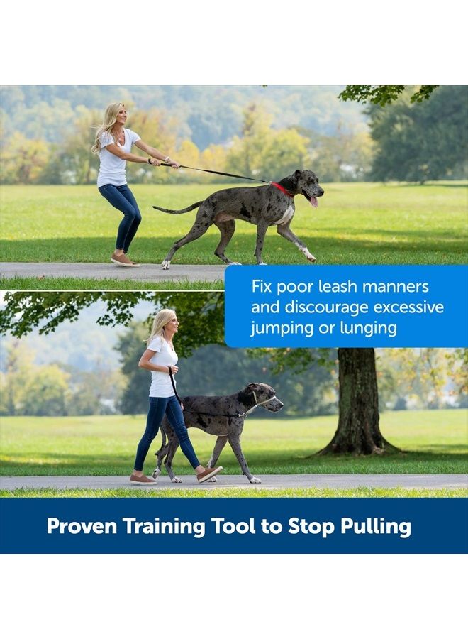 PetSafe Gentle Leader No-Pull Dog Headcollar - The Ultimate Solution to Pulling - Redirects Your Dog's Pulling For Easier Walks - Helps You Regain Control - Small, Black - Image 4