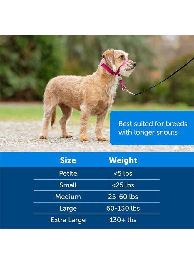 PetSafe Gentle Leader No-Pull Dog Headcollar - The Ultimate Solution to Pulling - Redirects Your Dog's Pulling For Easier Walks - Helps You Regain Control - Small, Black - Image 5