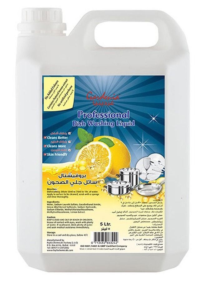 Gardenia - Professional Dishwashing Liquid 5L - Image 1