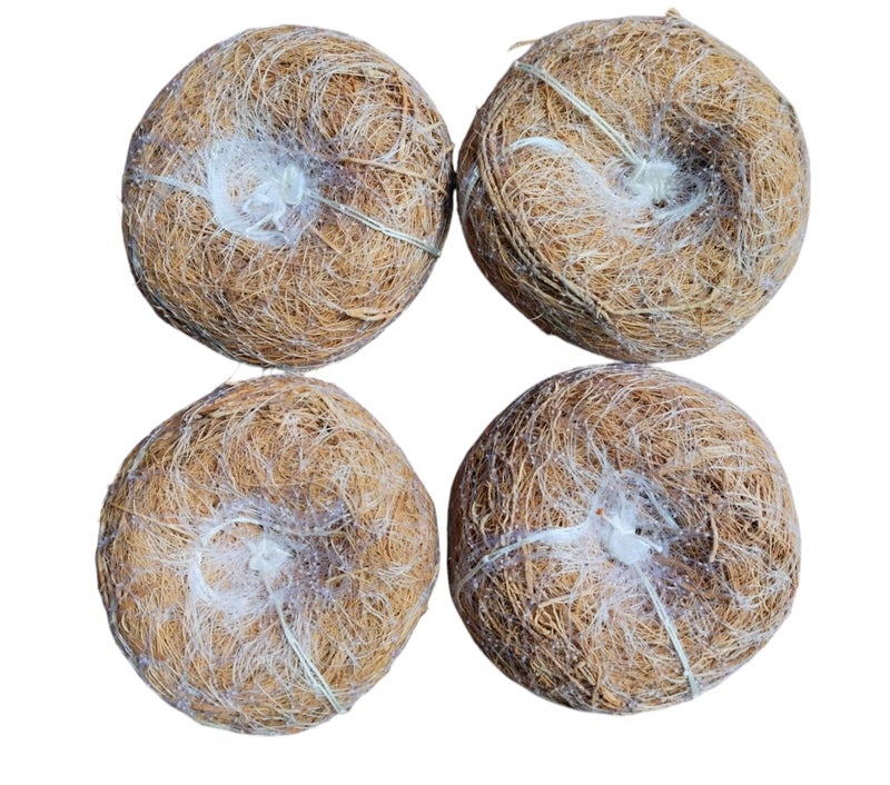 LJL Traders Vetiver Scrub Natural Loofah Pad-Handmade Ayurvedic Kerala Ramacham Scrubber Made Of Khus Roots-Skin Exfoliating Organic Round Shower Loofah & Bath Sponge Body Brush (Pack of 4) - Image 1