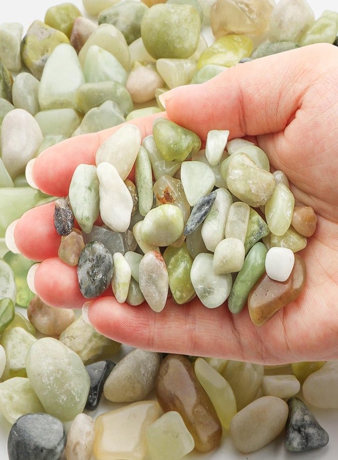 RooTrimmer Pebbles for Indoor Plants 5 Lbs, 3/8 Inch Jade Vase Filler, Rocks for Plants Indoor, Stones for Garden Landscaping, Smooth Gravel Filler for Succulents, Cactus, Fish Tank and Vases - Image 2