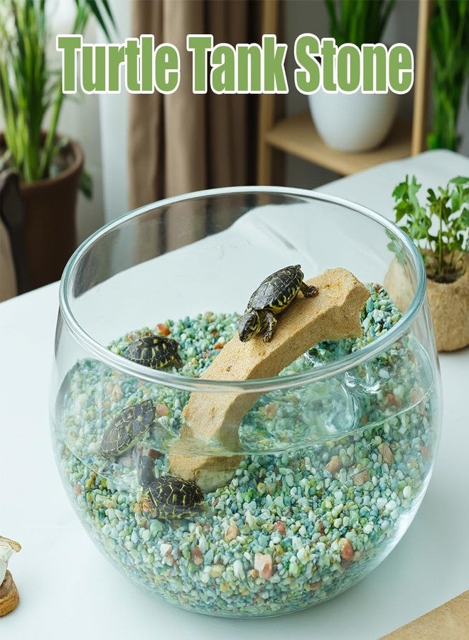 RooTrimmer Pebbles for Indoor Plants 5 Lbs, 3/8 Inch Jade Vase Filler, Rocks for Plants Indoor, Stones for Garden Landscaping, Smooth Gravel Filler for Succulents, Cactus, Fish Tank and Vases - Image 5