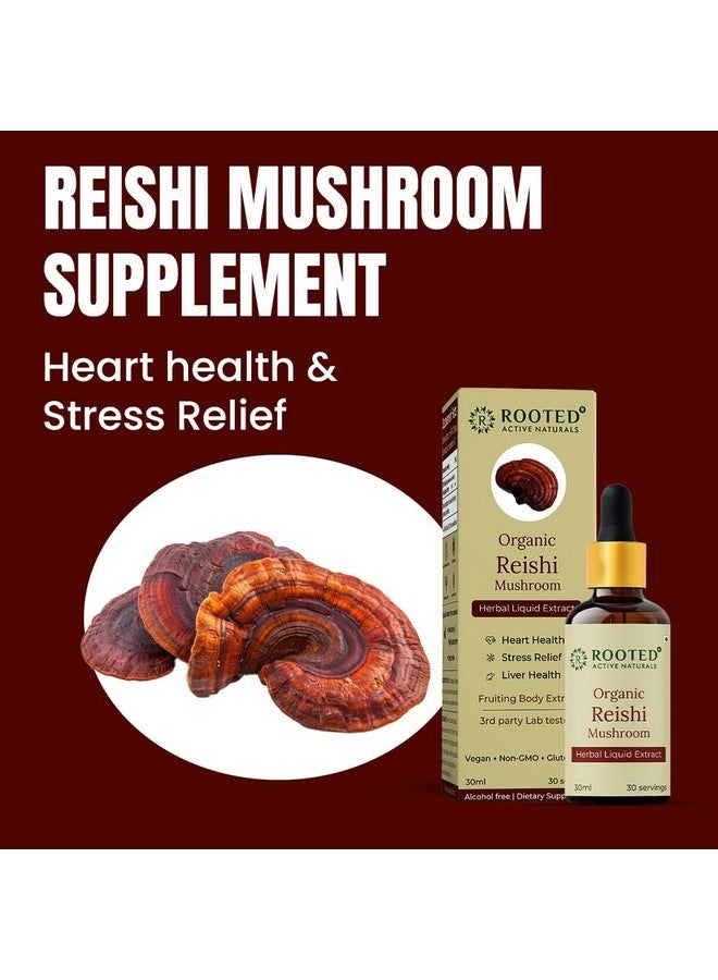 Rooted Actives Organic Reishi Mushroom Liquid Extract (30 ML, 30 Servings) - Image 3