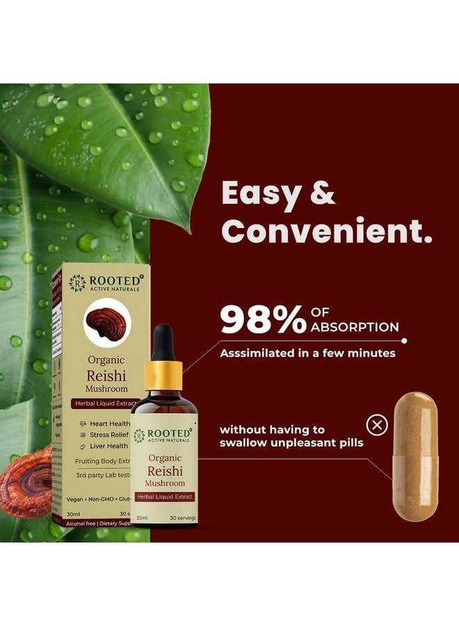 Rooted Actives Organic Reishi Mushroom Liquid Extract (30 ML, 30 Servings) - Image 2