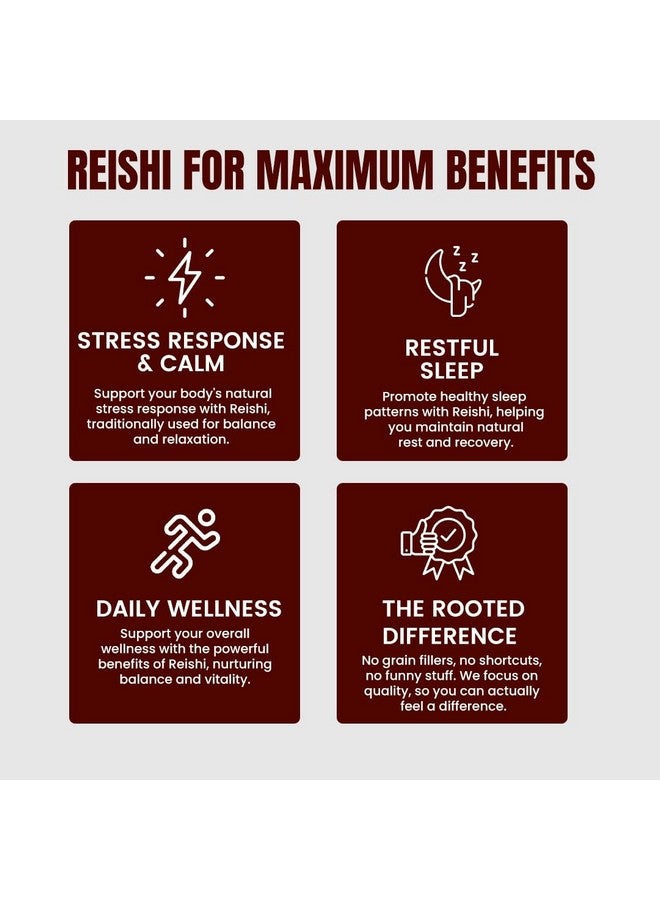 Rooted Actives Organic Reishi Mushroom Liquid Extract (30 ML, 30 Servings) - Image 4