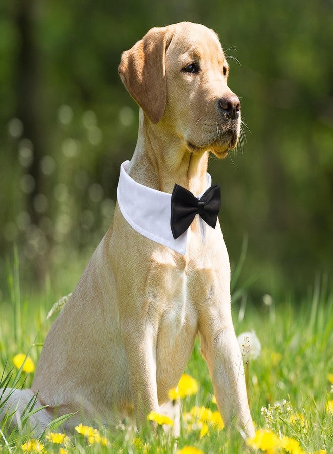 Koolmox Bow Tie for Dogs, KOOLMOX Dog Bow Tie, Handcrafted Black Dog Bowtie with 21'' Adjustable Dog Collar Tux White Dog Collar for Large Dogs Wedding Attire, Pets Grooming Costumes - Image 5