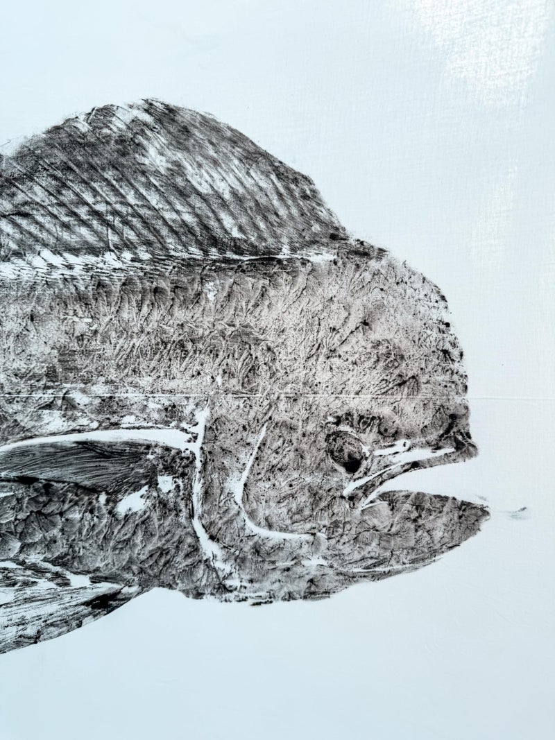 Fishin' Prints DIY Gyotaku Fish Printing Kit (36X18 Inches) - Image 4
