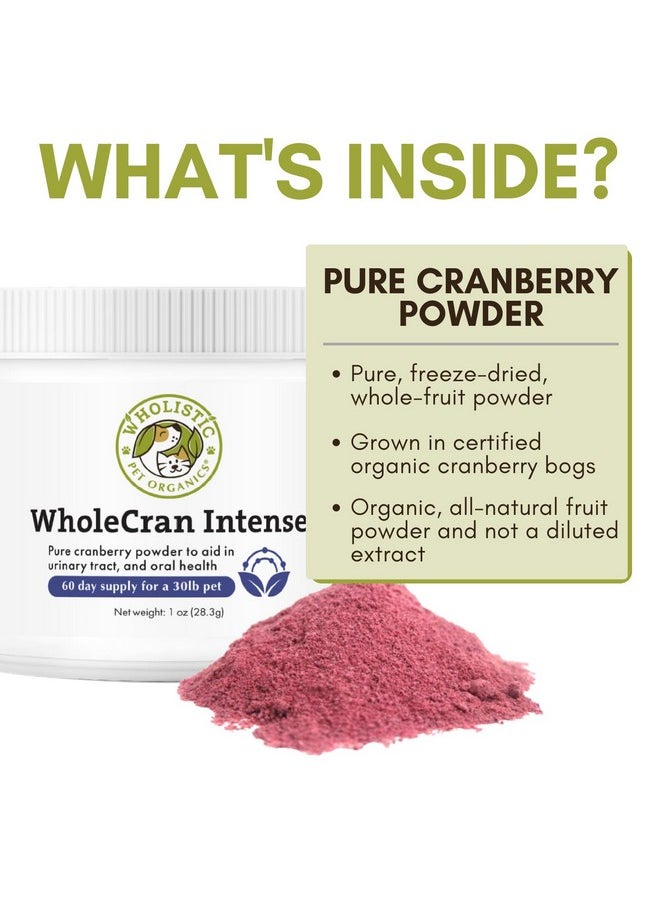 Wholistic Pet Organics Wholecran Intense: Organic Cranberry Powder For Dogs Urinary Tract Support Kidney Support For Dogs Uti Treatment Vitamin C And Antioxidants Dog Incontinence Product  - Image 4