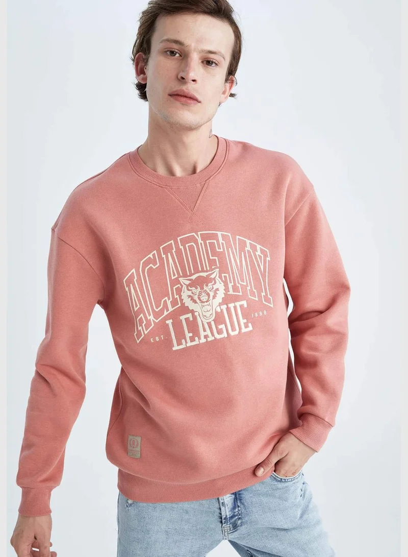 DeFacto Man Boxy Fit Crew Neck Long Sleeve Knitted Sweat Shirt