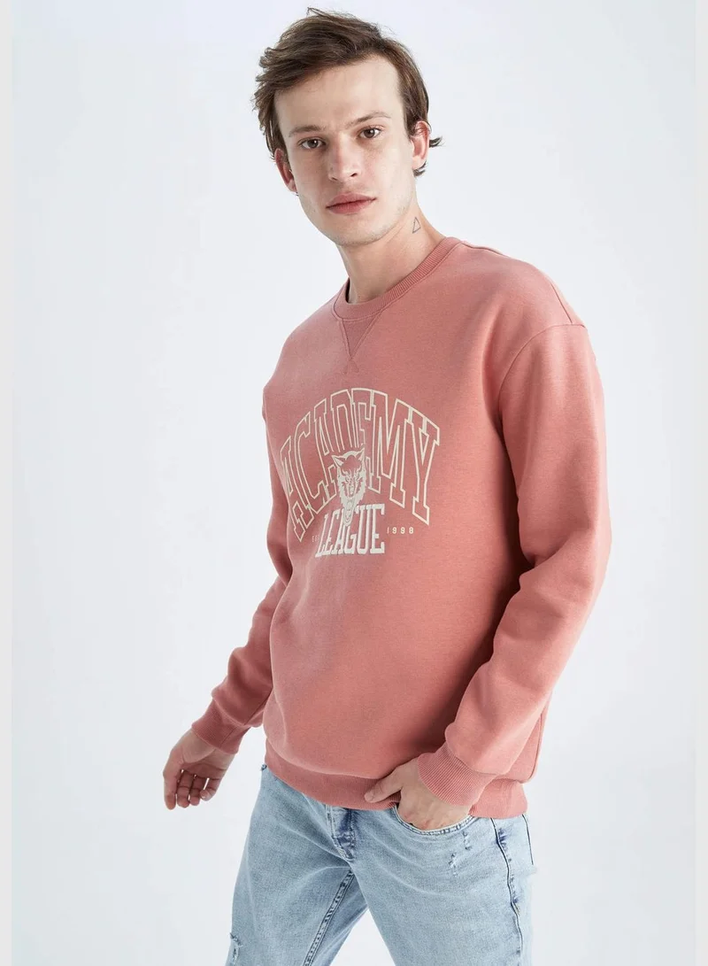 DeFacto Man Boxy Fit Crew Neck Long Sleeve Knitted Sweat Shirt