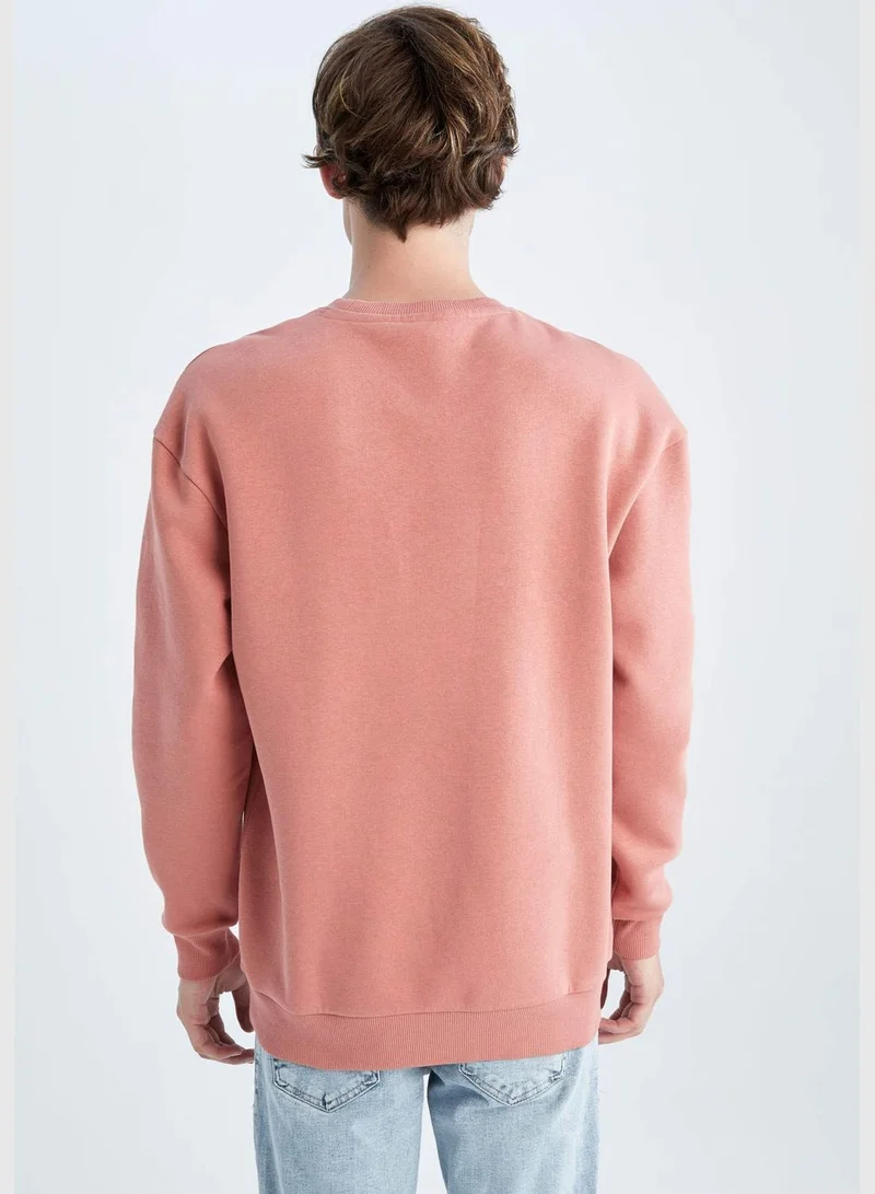 DeFacto Man Boxy Fit Crew Neck Long Sleeve Knitted Sweat Shirt