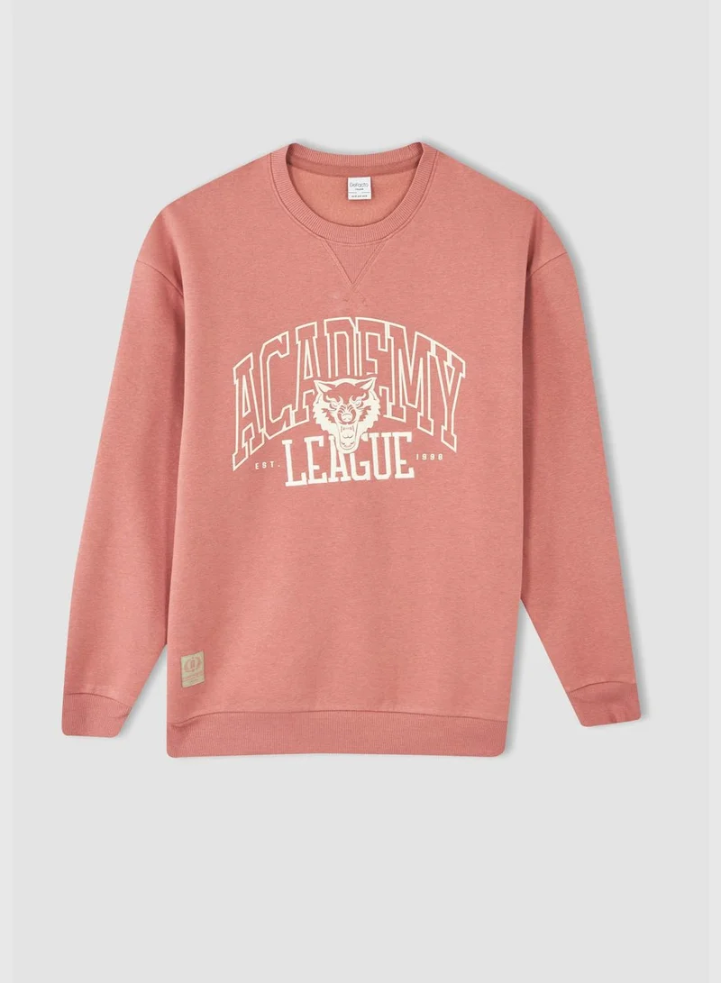 DeFacto Man Boxy Fit Crew Neck Long Sleeve Knitted Sweat Shirt